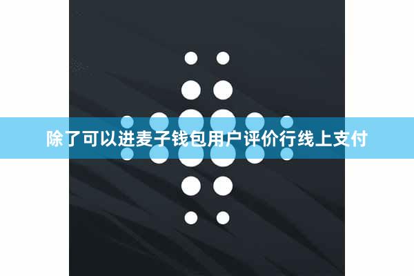 除了可以进麦子钱包用户评价行线上支付