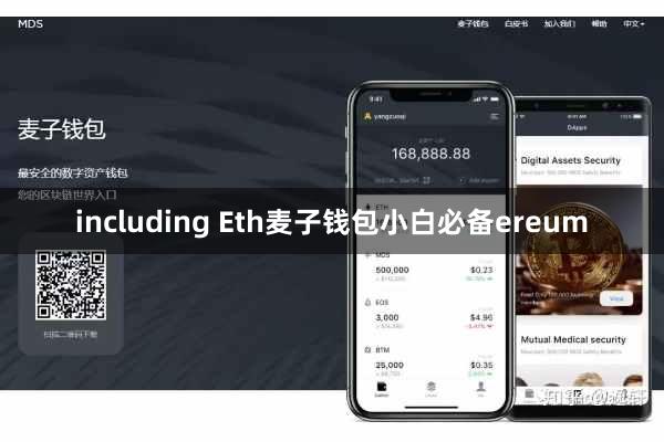 including Eth麦子钱包小白必备ereum