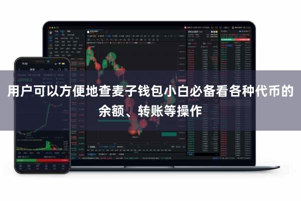 用户可以方便地查麦子钱包小白必备看各种代币的余额、转账等操作