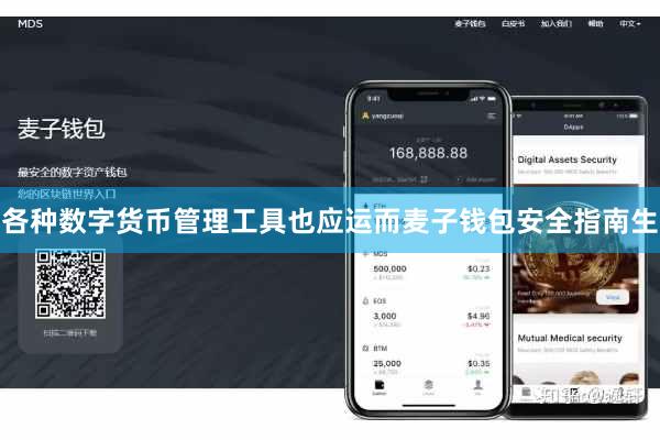 各种数字货币管理工具也应运而麦子钱包安全指南生