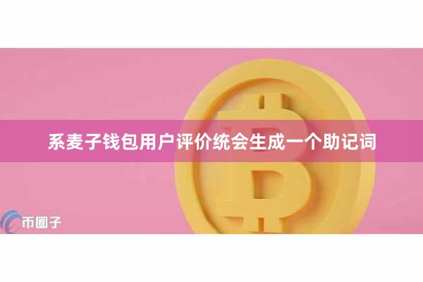 系麦子钱包用户评价统会生成一个助记词