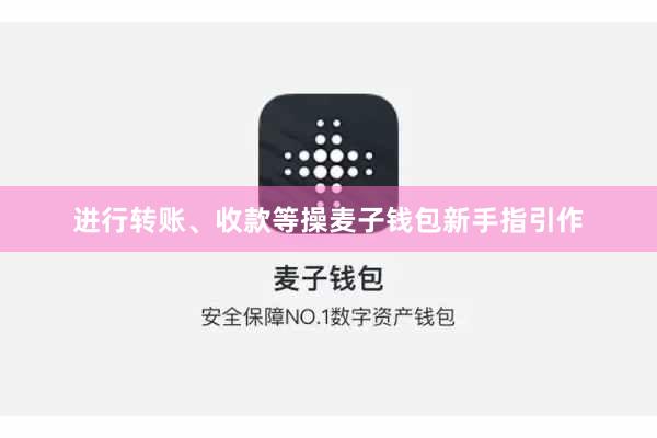 进行转账、收款等操麦子钱包新手指引作