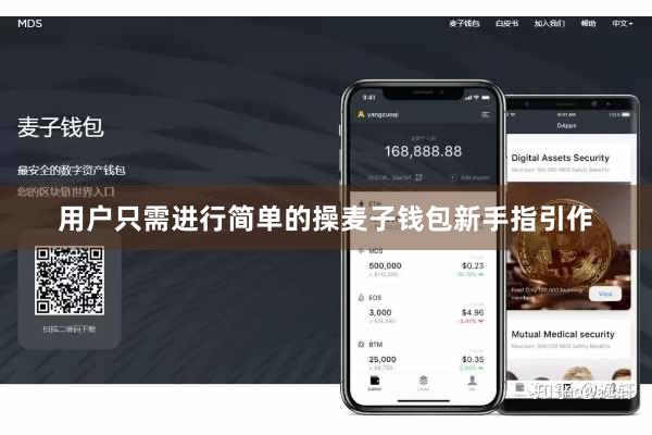 用户只需进行简单的操麦子钱包新手指引作
