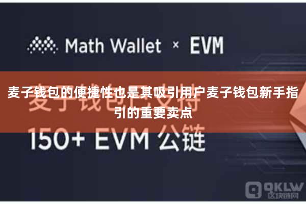 麦子钱包的便捷性也是其吸引用户麦子钱包新手指引的重要卖点