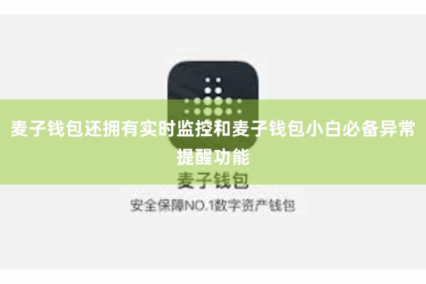 麦子钱包还拥有实时监控和麦子钱包小白必备异常提醒功能