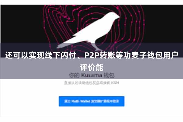 还可以实现线下闪付、P2P转账等功麦子钱包用户评价能