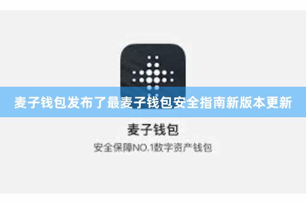 麦子钱包发布了最麦子钱包安全指南新版本更新