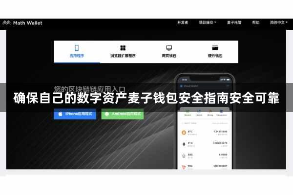 确保自己的数字资产麦子钱包安全指南安全可靠