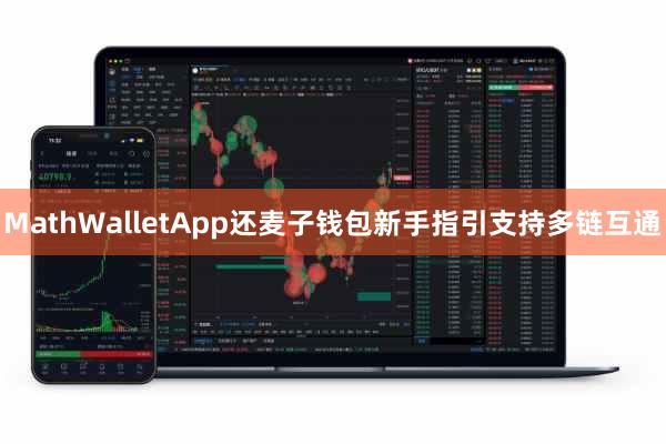 MathWalletApp还麦子钱包新手指引支持多链互通
