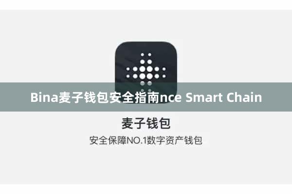 Bina麦子钱包安全指南nce Smart Chain
