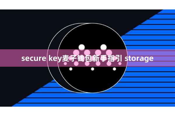 secure key麦子钱包新手指引 storage