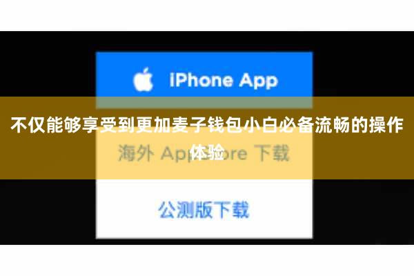 不仅能够享受到更加麦子钱包小白必备流畅的操作体验