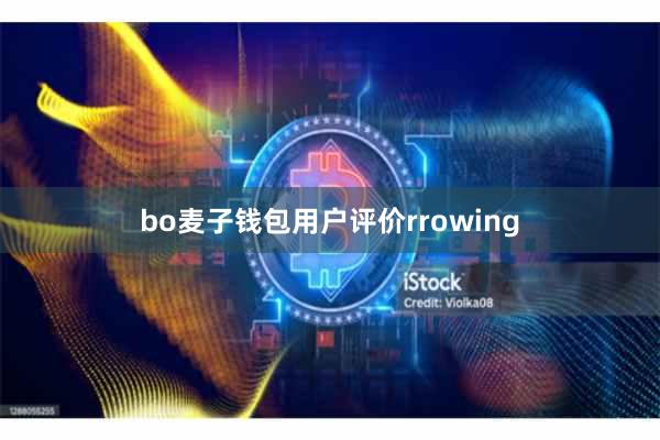 bo麦子钱包用户评价rrowing