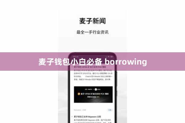 麦子钱包小白必备 borrowing
