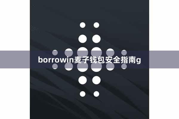 borrowin麦子钱包安全指南g