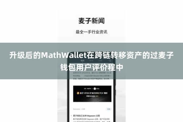 升级后的MathWallet在跨链转移资产的过麦子钱包用户评价程中