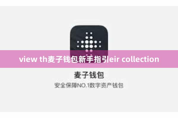 view th麦子钱包新手指引eir collection