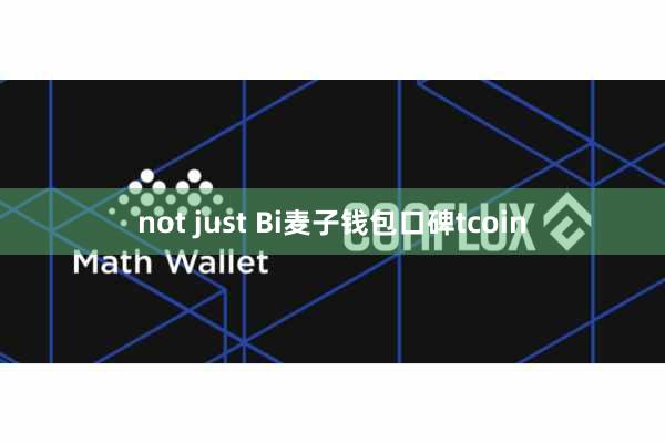 not just Bi麦子钱包口碑tcoin