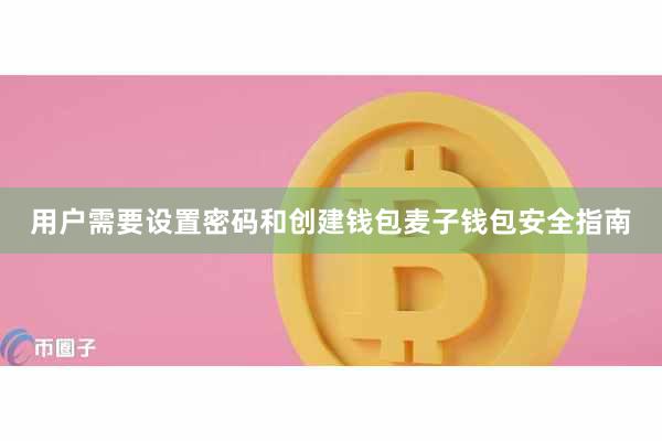 用户需要设置密码和创建钱包麦子钱包安全指南