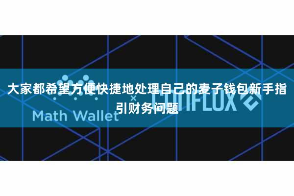 大家都希望方便快捷地处理自己的麦子钱包新手指引财务问题