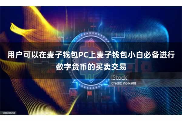用户可以在麦子钱包PC上麦子钱包小白必备进行数字货币的买卖交易