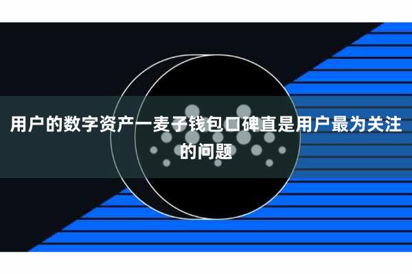 用户的数字资产一麦子钱包口碑直是用户最为关注的问题
