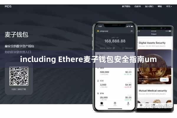 including Ethere麦子钱包安全指南um