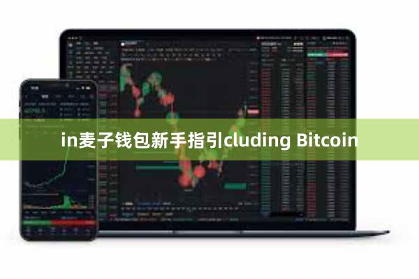 in麦子钱包新手指引cluding Bitcoin