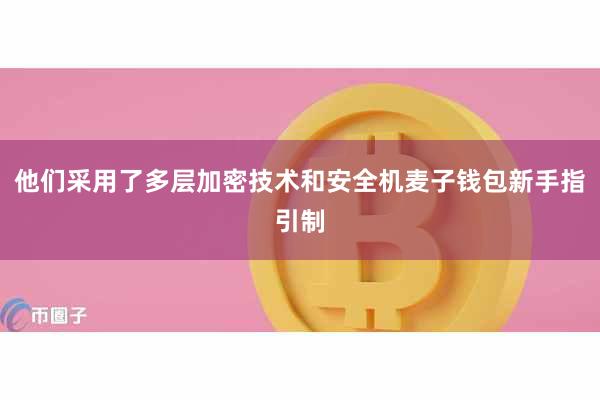 他们采用了多层加密技术和安全机麦子钱包新手指引制