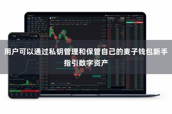 用户可以通过私钥管理和保管自己的麦子钱包新手指引数字资产