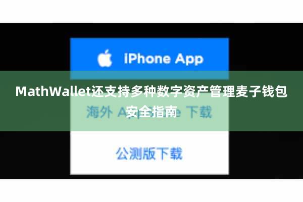 MathWallet还支持多种数字资产管理麦子钱包安全指南