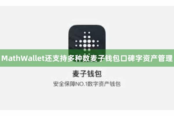 MathWallet还支持多种数麦子钱包口碑字资产管理